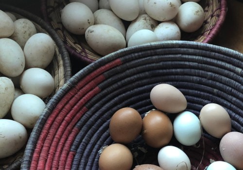 Maximizing Returns While Minimizing Risk: A Guide to Financial Success